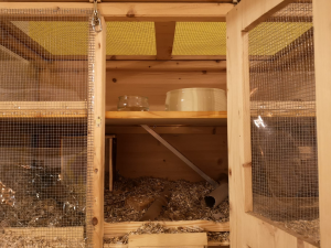 1640546609497.png 1640546609497.png