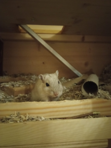 1640626621533.png 1640626621533.png