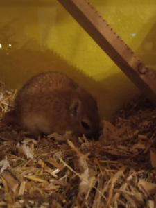 1640626888456.png 1640626888456.png