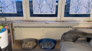 E46C37F8-294D-4C03-960E-808C08C1E87F.jpeg E46C37F8-294D-4C03-960E-808C08C1E87F.jpeg