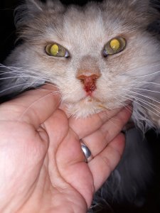 20220125_184406.jpg 20220125_184406.jpg