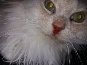 20220126_010303.jpg 20220126_010303.jpg