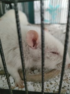 IMG20220212120301.jpg IMG20220212120301.jpg