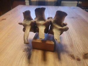 20220218_163605.jpg 20220218_163605.jpg