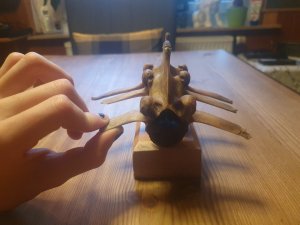 20220218_163618.jpg 20220218_163618.jpg