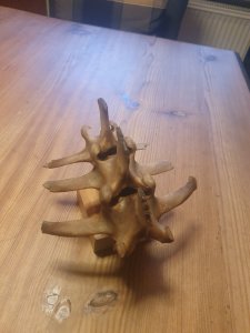 20220218_163630.jpg 20220218_163630.jpg