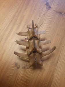 20220218_163635.jpg 20220218_163635.jpg