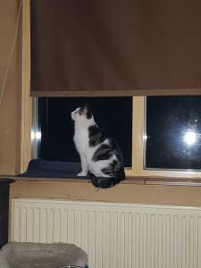 20220215_222557.jpg 20220215_222557.jpg