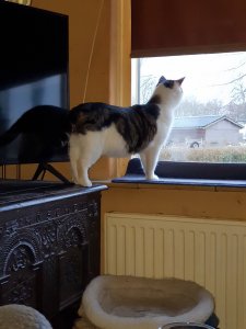 20220217_082009.jpg 20220217_082009.jpg