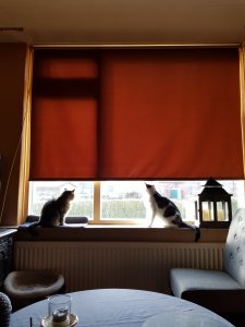 20220221_151622.jpg 20220221_151622.jpg