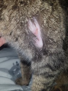 20220301_101244.jpg 20220301_101244.jpg