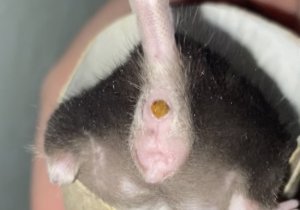 73644F9D-BB49-4DA1-832E-8301949AA783.jpeg 73644F9D-BB49-4DA1-832E-8301949AA783.jpeg