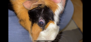 B435C51C-824F-47C9-9478-2D0B9A2ADD64.png B435C51C-824F-47C9-9478-2D0B9A2ADD64.png