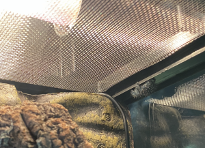 Bildschirmfoto 2022-03-19 um 16.47.08.png Bildschirmfoto 2022-03-19 um 16.47.08.png