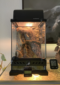 Bildschirmfoto 2022-03-19 um 16.47.20.png Bildschirmfoto 2022-03-19 um 16.47.20.png