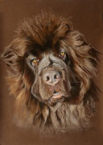 Neufundlaender-newfoundlanddog-pastelwork-katzportraits.JPG