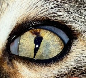 1648158006465.jpeg 1648158006465.jpeg