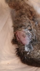 IMG-20220413-WA0005.jpeg IMG-20220413-WA0005.jpeg