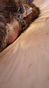 IMG-20220413-WA0002.jpeg IMG-20220413-WA0002.jpeg