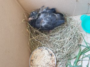 20220418_143016.jpg 20220418_143016.jpg