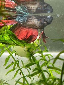 WhatsApp Image 2022-05-03 at 21.04.28 (1).jpeg