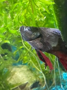 WhatsApp Image 2022-05-03 at 21.04.29 (1).jpeg