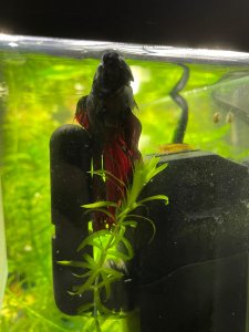 WhatsApp Image 2022-05-03 at 21.04.30.jpeg