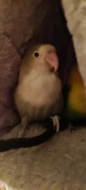 20220422_211457.jpg 20220422_211457.jpg