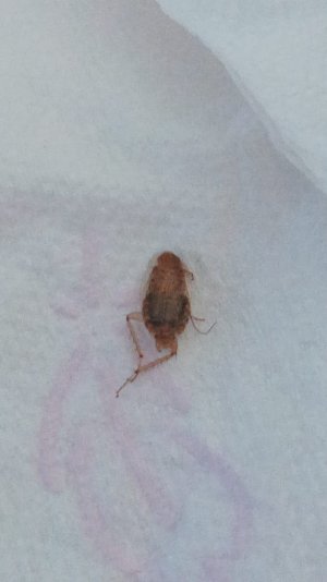 WhatsApp Image 2022-08-06 at 17.14.31.jpeg WhatsApp Image 2022-08-06 at 17.14.31.jpeg