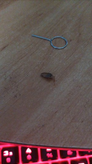 WhatsApp Image 2022-08-06 at 17.14.31 (1).jpeg WhatsApp Image 2022-08-06 at 17.14.31 (1).jpeg