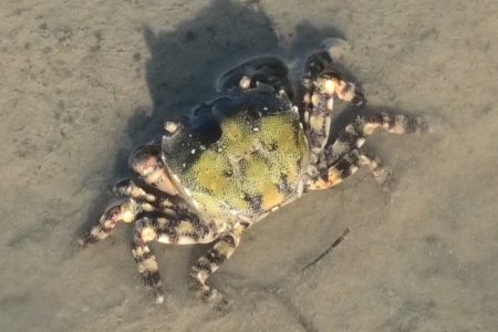 00451.MTS.jpg 00451.MTS.jpg