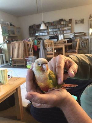 D10A7B22-E6E3-443C-B251-34AF9AF8FD1F.jpeg D10A7B22-E6E3-443C-B251-34AF9AF8FD1F.jpeg