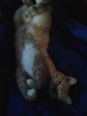 WhatsApp Image 2022-10-19 at 14.39.33.jpeg