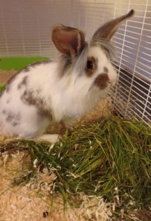 IMG-20230110-WA0072.jpg IMG-20230110-WA0072.jpg