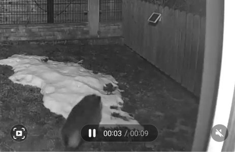 Screenshot_20230211_110532_Gallery.jpg Screenshot_20230211_110532_Gallery.jpg