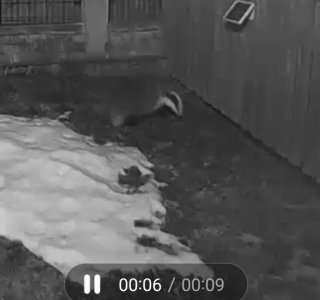 Screenshot_20230211_110535_Gallery (002).jpg Screenshot_20230211_110535_Gallery (002).jpg