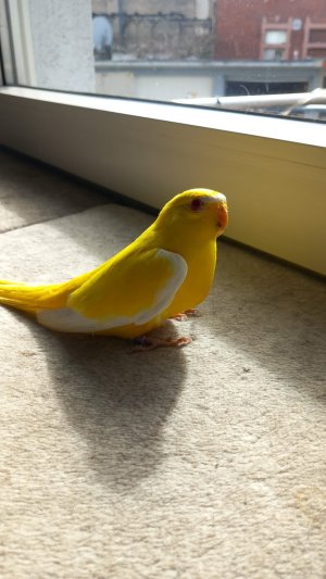 WhatsApp Image 2023-03-27 at 15.03.33.jpeg