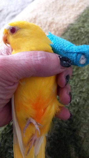 WhatsApp Image 2023-03-27 at 15.05.00.jpeg