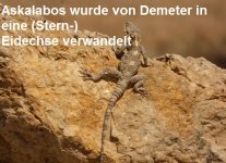 16562-11a08a68d41d7a467416a290aa32019b.jpg 16562-11a08a68d41d7a467416a290aa32019b.jpg