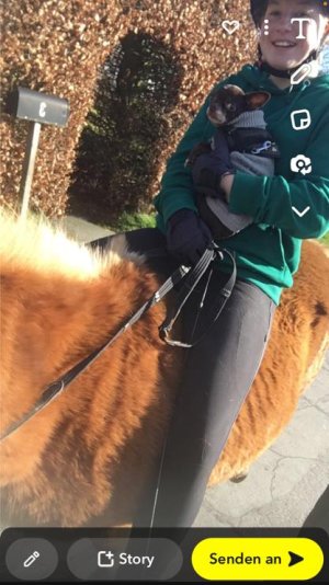 IMG-20230410-WA0012.jpg IMG-20230410-WA0012.jpg