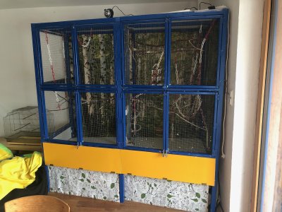 voliere.jpg