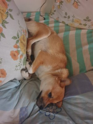 20211128_200524.jpg 20211128_200524.jpg