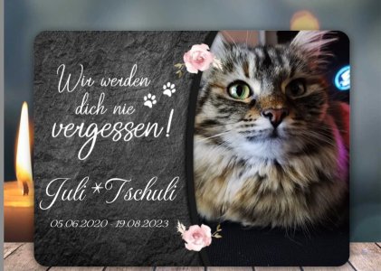 WhatsApp Bild 2023-08-19 um 20.29.56.jpg