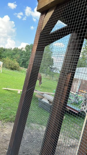 B0A441F7-0561-49EC-A951-A142B09DBFDA.jpeg B0A441F7-0561-49EC-A951-A142B09DBFDA.jpeg