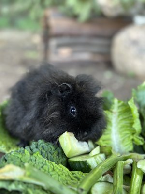 IMG_1501.jpeg IMG_1501.jpeg