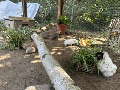 IMG_1666.jpeg IMG_1666.jpeg