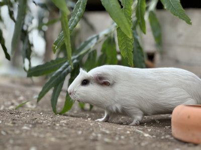 IMG_1176.jpeg IMG_1176.jpeg