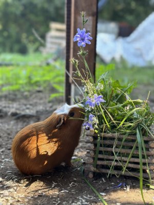 IMG_1411.jpeg IMG_1411.jpeg