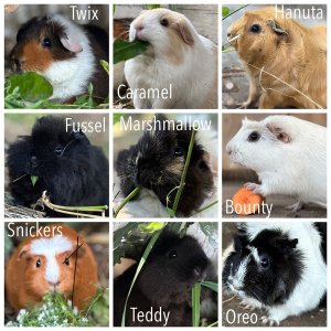 IMG_1922.jpeg IMG_1922.jpeg