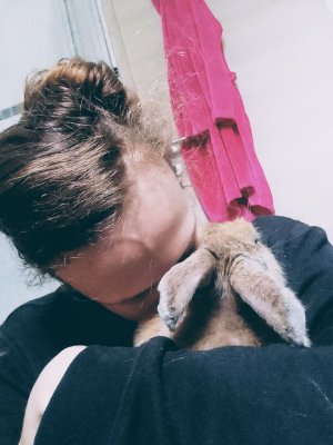 IMG_20231108_101105~2.jpg IMG_20231108_101105~2.jpg